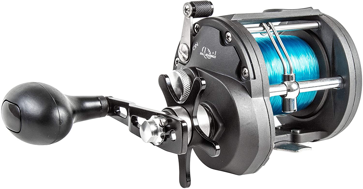 Fladen Warbird Multiplier Reel 1+1 stainless steel bb LW line-on – Glasgow  Angling Centre