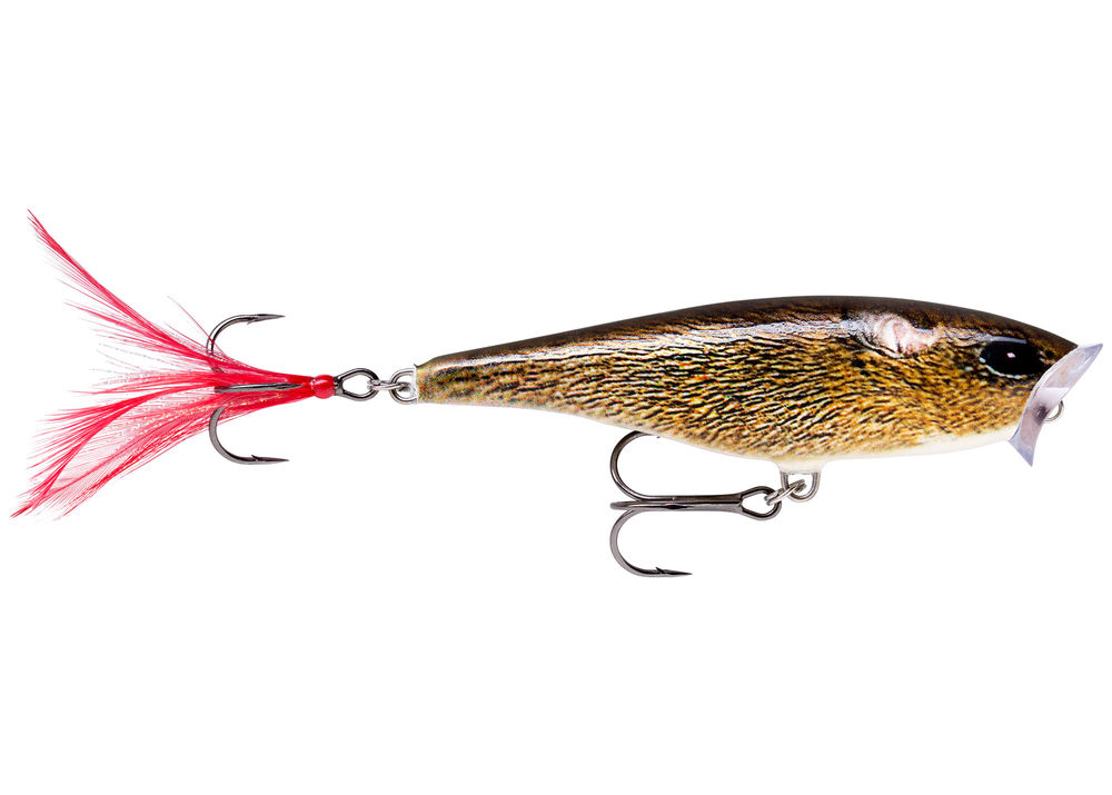 Rapala X-Rap River Perch