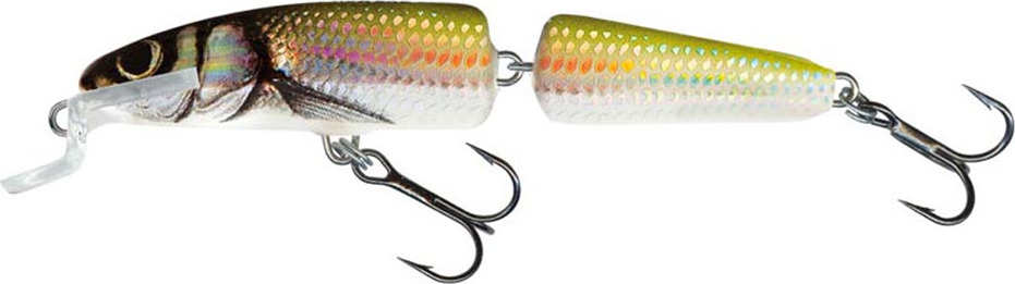 Salmo Fanatic 7cm 5g Floating – Glasgow Angling Centre