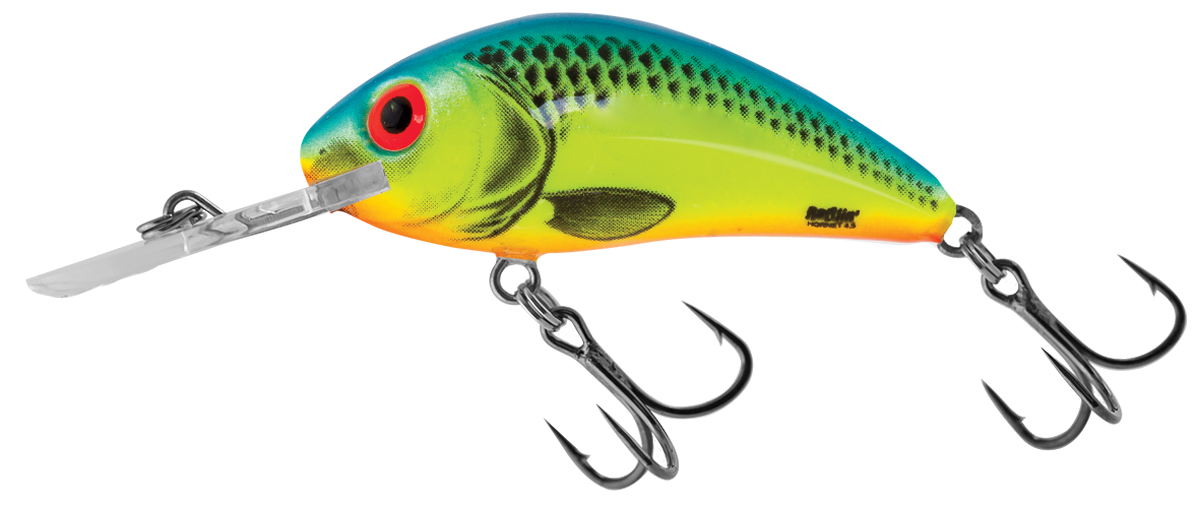 Salmo Rattlin' Hornet Floating Lures – Glasgow Angling Centre