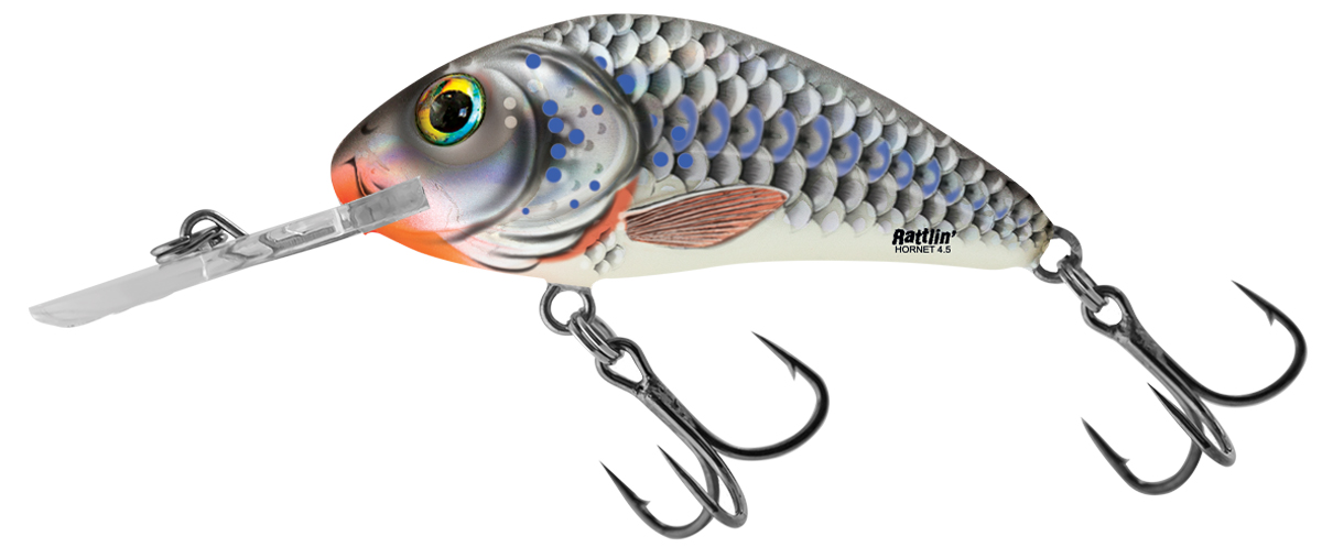 Salmo Rattlin' Hornet Floating Lures 65mm : 6g : Sexy Shad