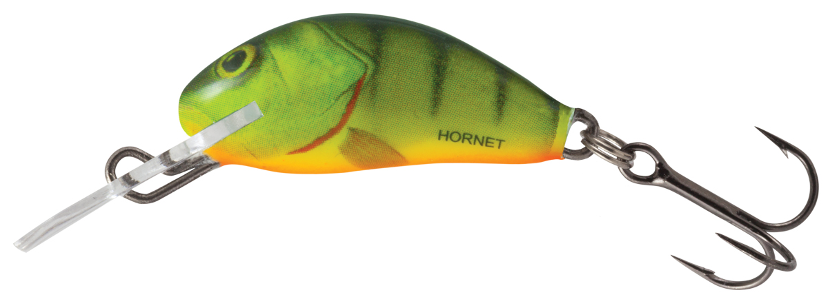 Salmo Hornet Crankbait Floating : 50mm : 7g : Hot Perch – Glasgow Angling  Centre