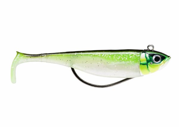 Storm 360GT Coastal Biscay Shad Mounted Lures 2pc – Glasgow