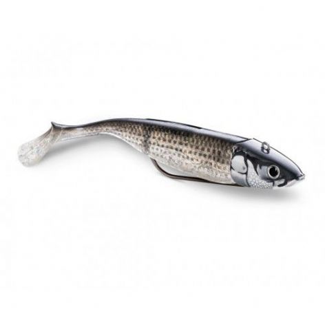 Storm 360GT Coastal Biscay Shad Mounted Lures 2pc MU-Mullet : Size