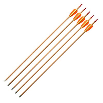 Armex 28in Wooden Arrows (5 Pack)