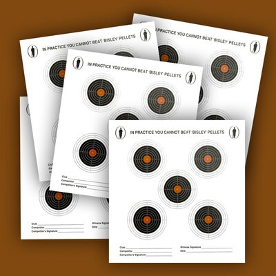 Bisley Single Targets on Graded Paper 1000 Pack