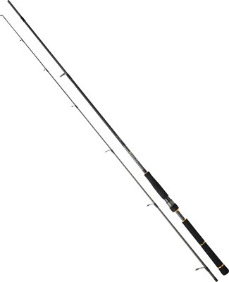 Daiwa BG Seabass Spinning Rod