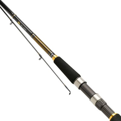 Showroom Daiwa BG Spinning 9ft6 10-40g 2pc No Bag No Tube