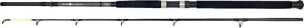 Daiwa D Wave Boat Rod