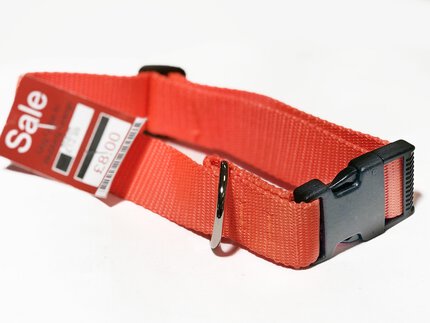 Showroom Decoy Dog Collar In Webbing Orange 60cm