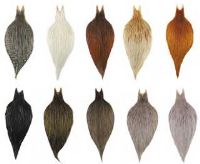 Veniard Whiting Cock Necks