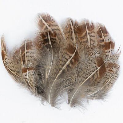 Veniard English Partridge Grey Flank