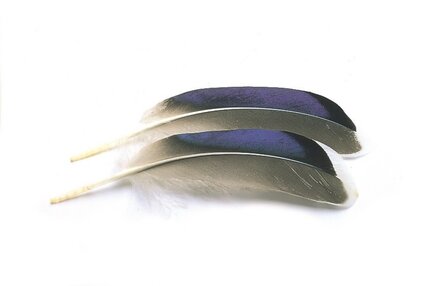 Veniard Mallard Wing Quills Blue