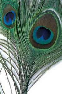 Veniard Peacock Eye Tops