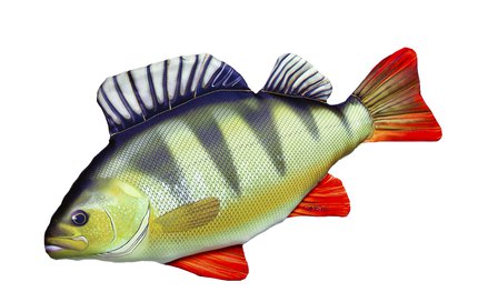 Gaby Perch Fish Pillow