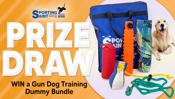 competition/november-2022---gun-dog-training-dummy-bundle.html