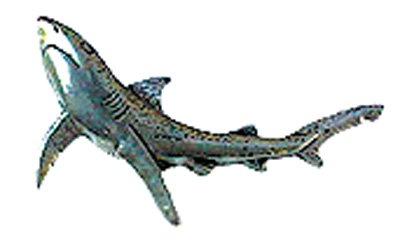 Just Fish Pewter Lapel Pin Blue Shark