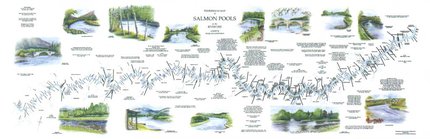 Fishing Maps Fishermans Map River Tweed