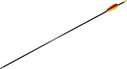 Petron Fibreglass Arrows 30