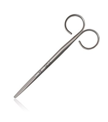Renomed FS7 Large Rounded Tip Scissors