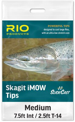 RIO Skagit IMOW Tips