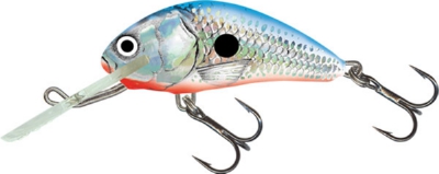 Salmo Hornet Floating Lure