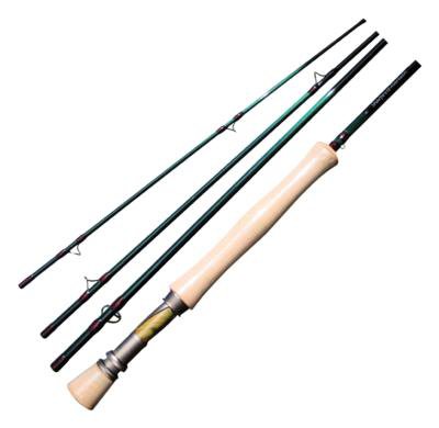 best rod and reel for beginners