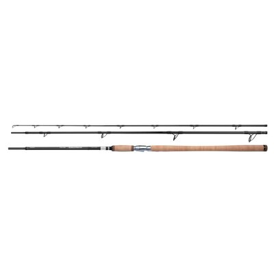 Shimano Speedmaster Salmon Rod