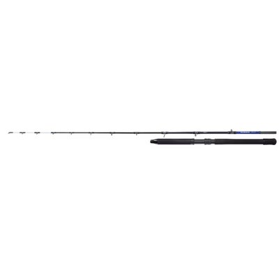 Shimano Technium Deep Drop Boat Rod