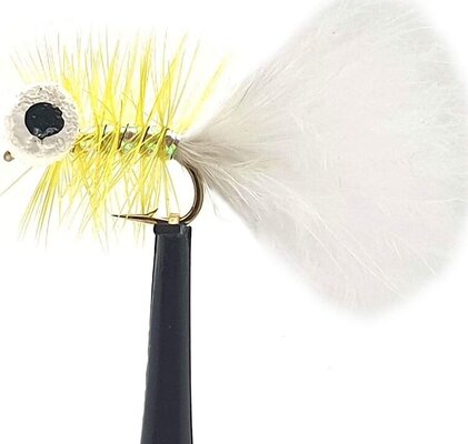 Silverbrook Yellow Dancer Booby Size 10