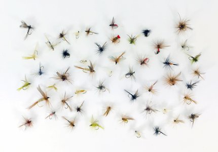 Stillwater Assorted Dry Flies x 50