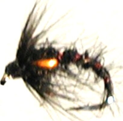 Stillwater Duckfly Emerger (1 Dozen)