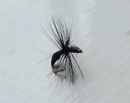 Stillwater Epoxy Black Ant Dry Fly - 1 Dozen