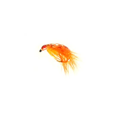 Stillwater Freshwater Shrimp Orange (1 Dozen)
