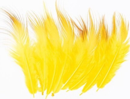 Veniard Golden Pheasant Body Feather Subs