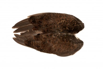 Veniard Grouse Whole Wings