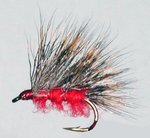 Stillwater Sedgehog Red (1 Dozen)