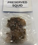Axia Preserved Squid Fishing Baits