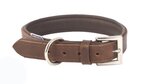 Dokken Dog Collar Vintage Padded Leather Size 6 (45-54cm)