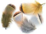 Veniard French Partridge Flank Hackles