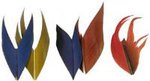 Macaw 2 Inch Sections