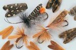 Natural Feather Caddis Wings