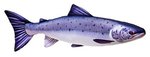 Gaby Salmon Fish Pillow