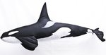 Gaby Giant Orca Pillow 118cm