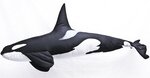Gaby Orca Mini Pillow 51cm