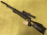 Airguns and Accessories 410