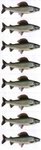 Just Fish Sticker Grayling 3cm