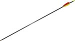 Petron Fibreglass Arrows 30" (Pack 3)