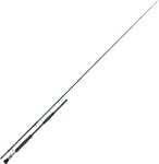Saltwater Fly Rods 75