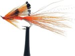 Silverbrook Allies Shrimp Orange Salmon Double Size 10